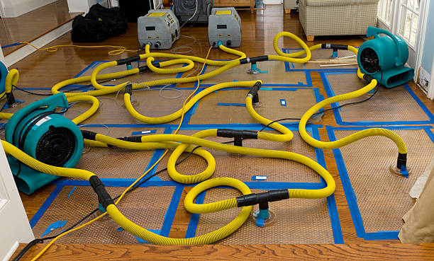 Professional Basement Flood Cleanup technician working in Joplin, MO